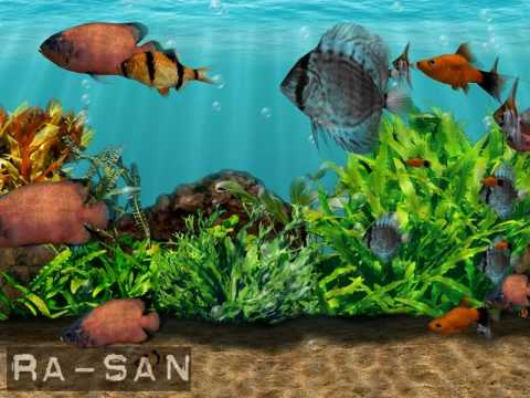 3d screen fish